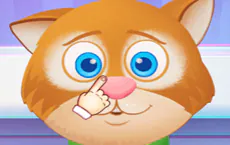 Animal Care - Free Online Game Preview